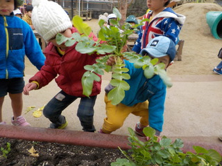 DSCN0892.JPG