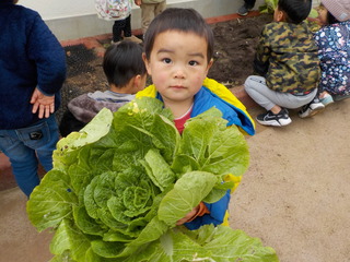DSCN0905.JPG