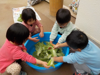 DSCN1006.JPG