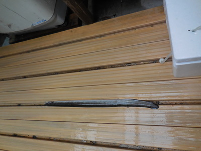 DSCN5862.JPG