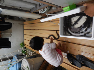 DSCN5864.JPG
