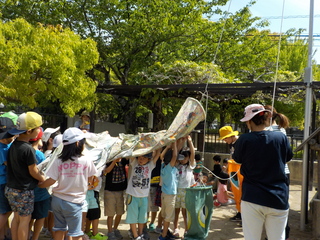 DSCN9597.JPG