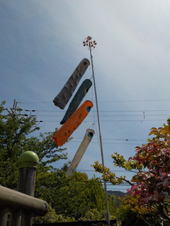 DSCN9613.JPG
