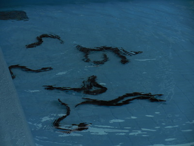 DSCN9734.JPG