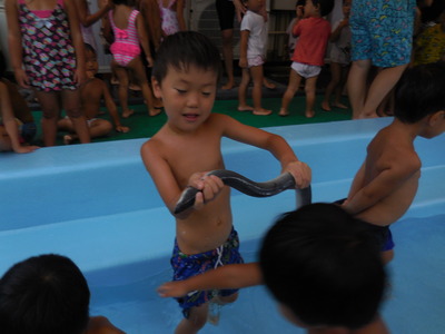 DSCN9799.JPG