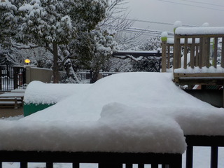 DSCN9981.JPG