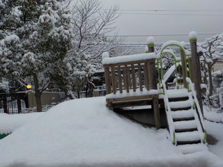 DSCN9982.JPG