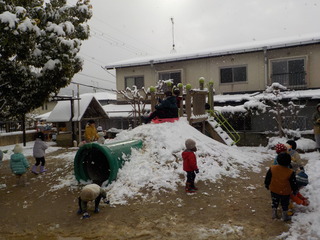 DSCN9986.JPG