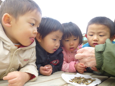 P1160614.JPG